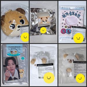 데이식스 도운 포토홀더 아웃핏 쁘쁘멀 아크릴 파우치