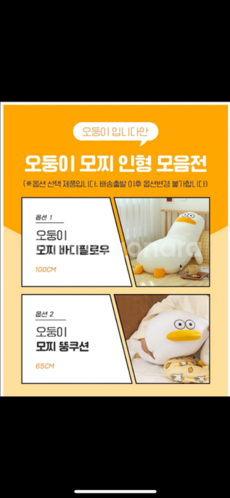 [카카오 선물하기]오둥이 모찌 바디필로우&오둥이 모찌--1