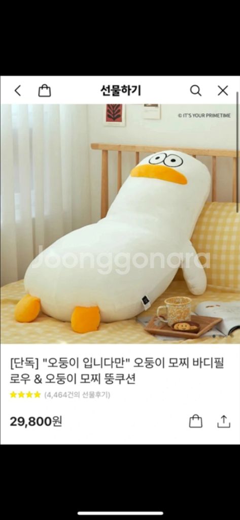 [카카오 선물하기]오둥이 모찌 바디필로우&오둥이 모찌--0