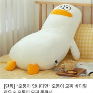 [카카오 선물하기]오둥이 모찌 바디필로우&오둥이 모찌
