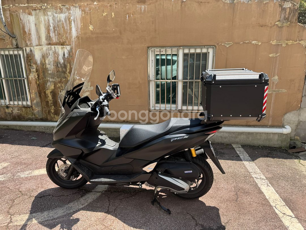 2025 pcx 팝니다--1