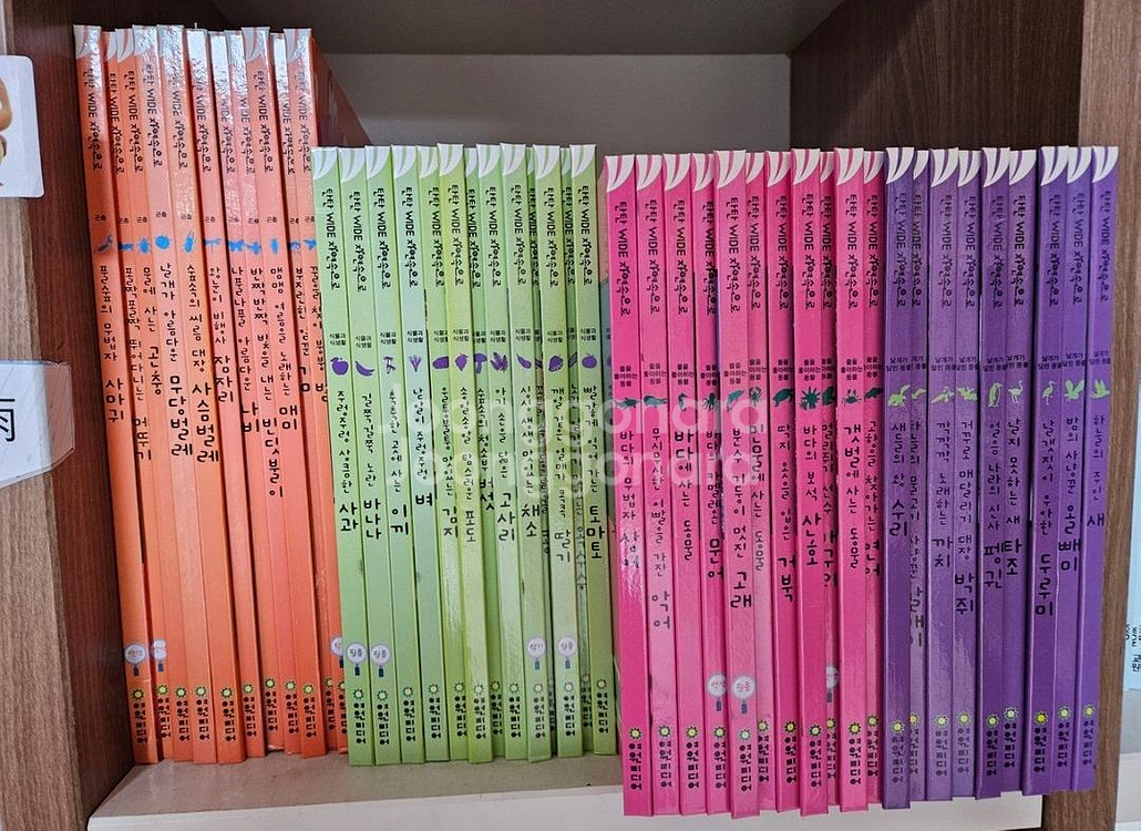 탄탄와이드 자연속으로--1