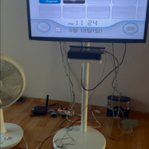 닌텐도wii