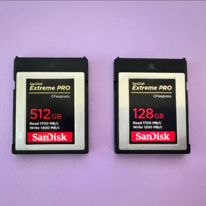샌디스크 익스트림 프로 CFexpress Type B