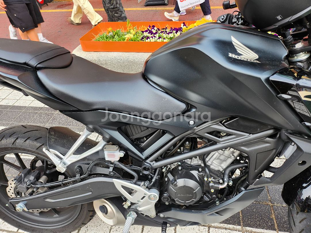 (서울)2024년식(적은키로수) CB125R--1