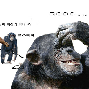 롤 RP 1:6 충전식 구매희망합니다 분할가능