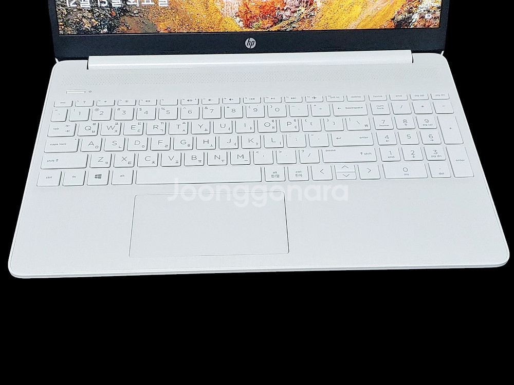 HP 사무용 15.6인치 화이트 슬림 노트북 PC--2