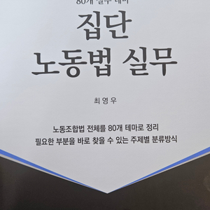 집단노동법 실무 최영우 저 개정9판