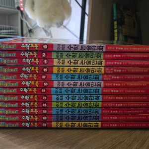 수학도둑