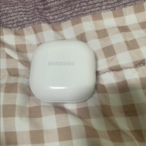 갤럭시버즈 FE