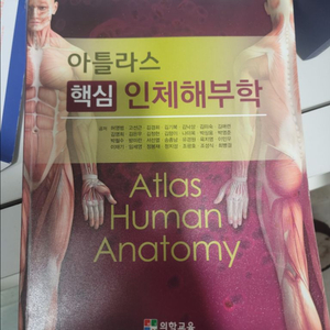 간호학,의학 전공교재 판매(기본간호학/병리학/해부학)
