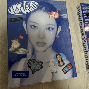 뉴진스 블루북