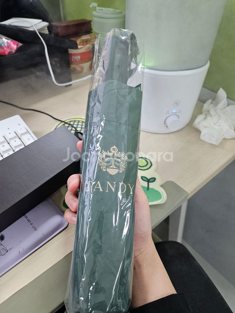 Tandy 우산--0