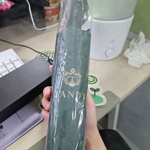 Tandy 우산