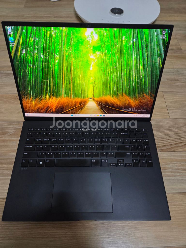 LG 그램 16인치(16ZD90Q-GX5LK)--0