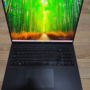 LG 그램 16인치(16ZD90Q-GX5LK)