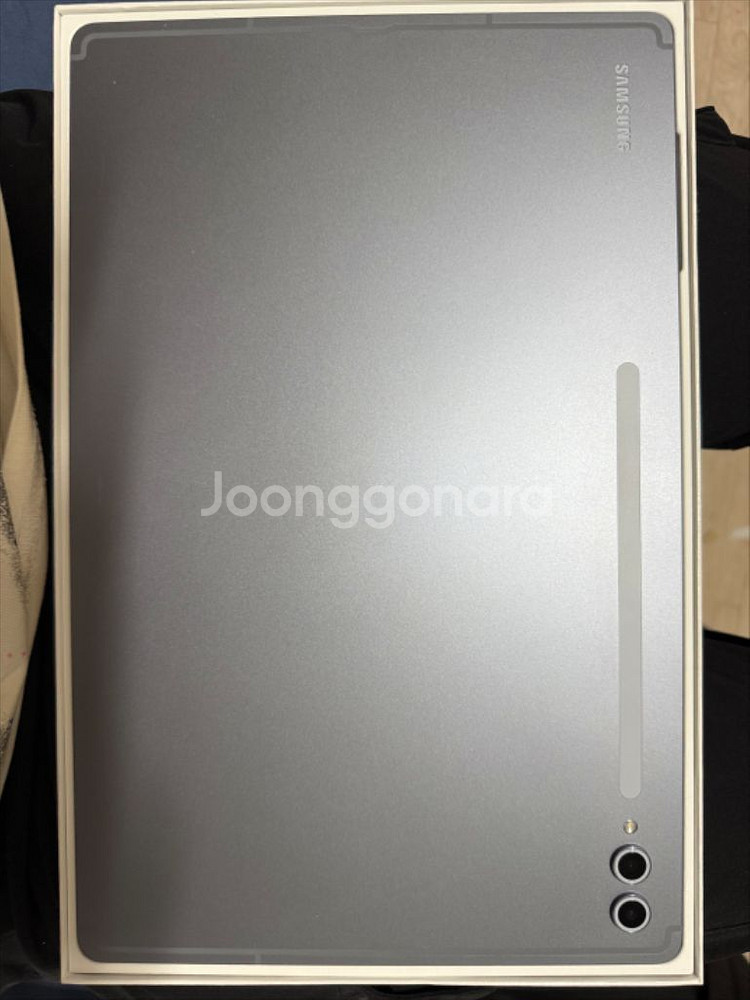 삼성 갤럭시 탭 S10 울트라 256GB Wifi--2