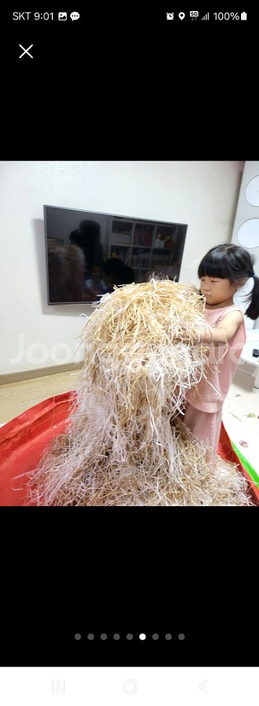 부활절&과일포장&선물포장&어린이 촉감놀이 종이완충재 판--1
