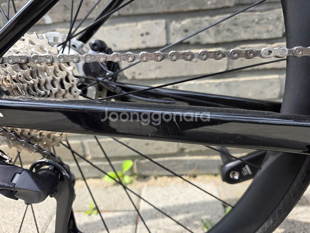 BMC 팀머신 SLR ONE--1