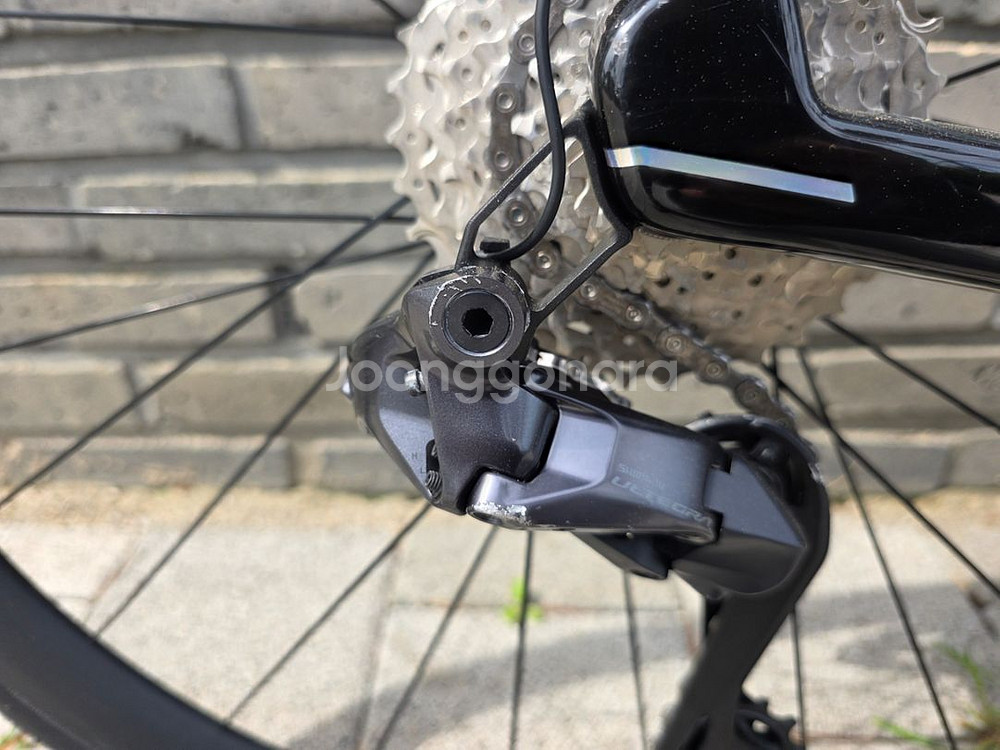 BMC 팀머신 SLR ONE--3