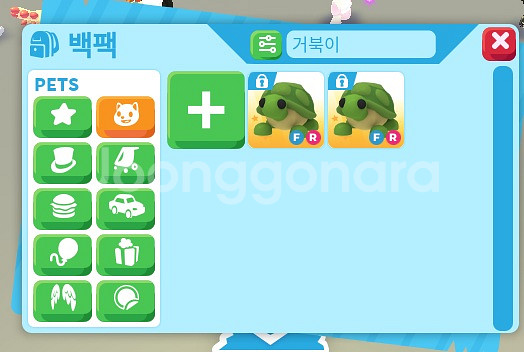 입양하세요 거북이 5마리 팝니다~~ 마리당 15000원--0