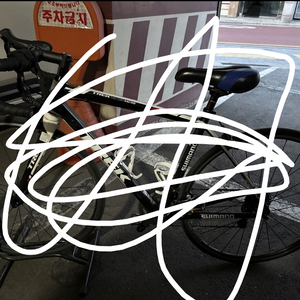 듣보 경륜픽시 상태S급