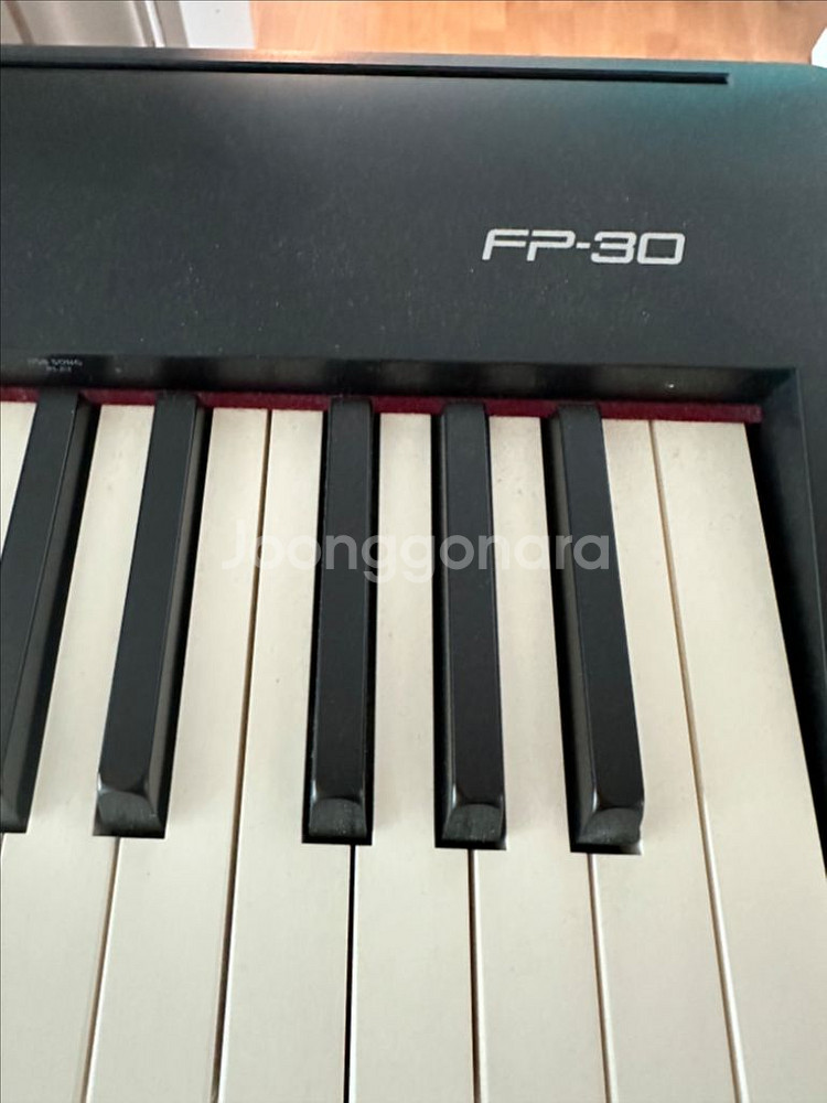 롤랜드 전자피아노 FP-30--0