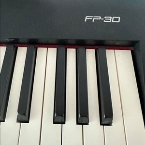 롤랜드 전자피아노 FP-30