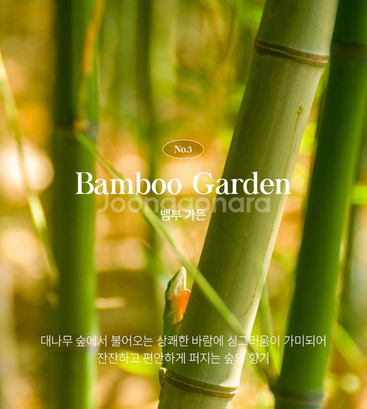아로니카 럭셔리캔들 - bamboo Garden--3