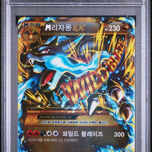 M리자몽EX UR psa9,샤컬 에몽가psa10