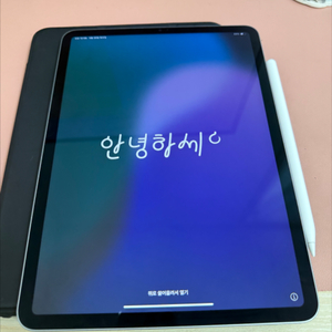 배터리100 아이패드 프로 4세대 m2 11인치 256