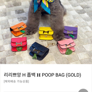 리리쁘앙 풉백 새상품급