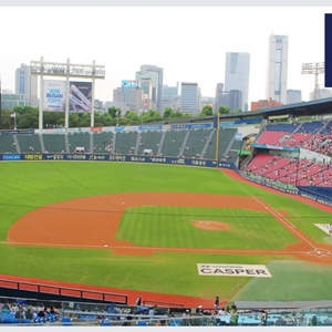 5/28(수) LG 한화 3루내야 2연석