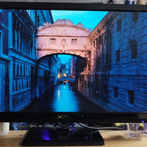27인치 모니터 / Newsync B275ips QHD