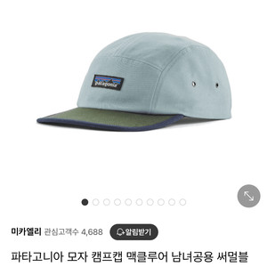 파타고니아 캠프캡