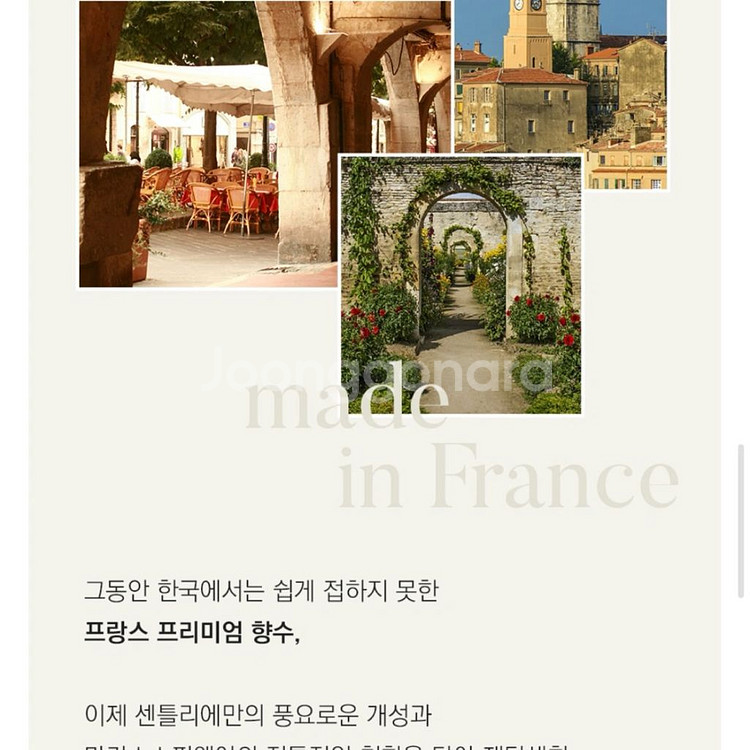 [무배/새상품] 센틀리에 데이지 오 드 퍼퓸 향수--5