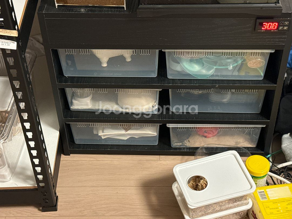 파충류 자온조 렉사 2열3층--0