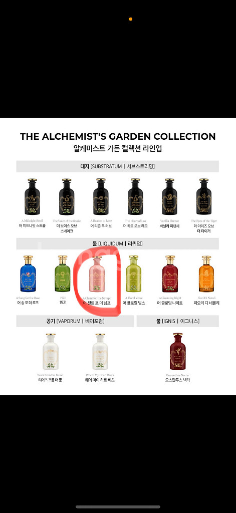 (새상품)구찌 어 챈트 포 더 님프 오드퍼퓸 100ml--3