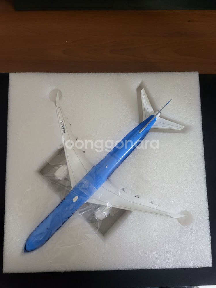 SQ B787-10 HL8515 대한항공 신도장--4
