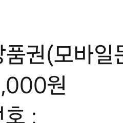 문상 만원권