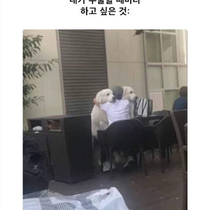 다음 현재 비공개된 멤놀 아이디 삽니다