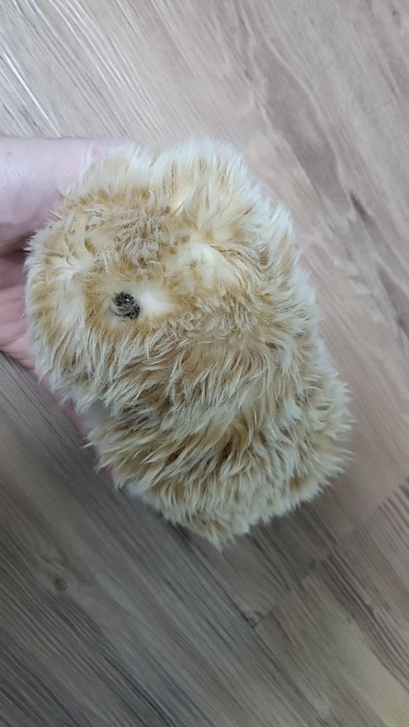 AI 로봇펫 카시오 모플린(moflin)--2