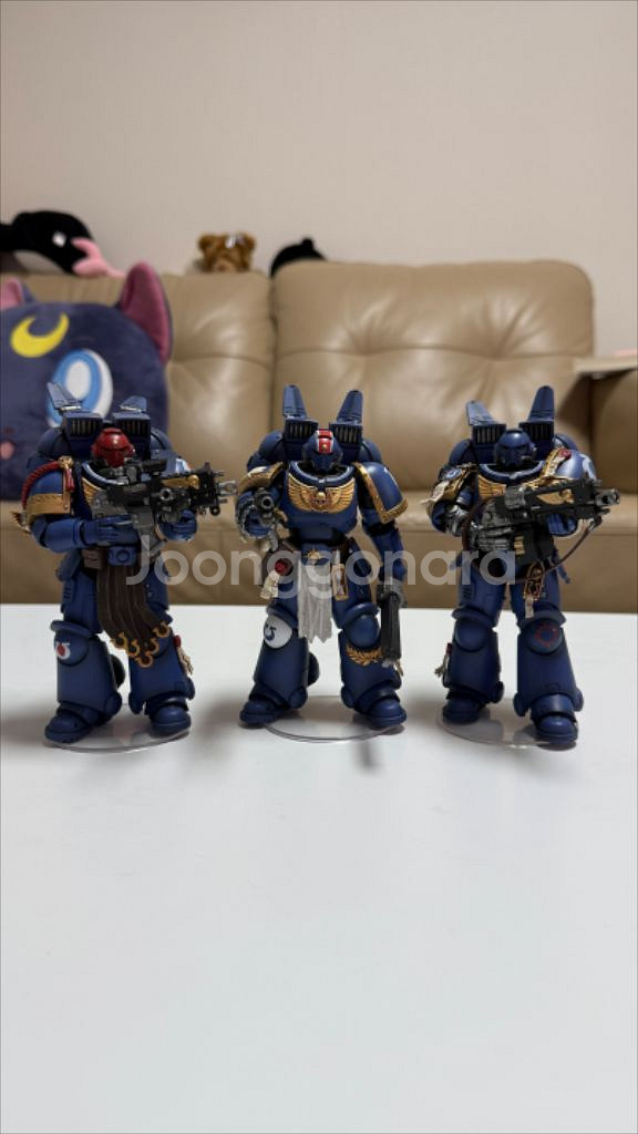조이토이 40k 스페이스마린 타이투스 분대 일괄--4