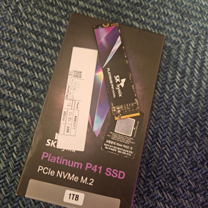 SK 하이닉스 P41 1TB