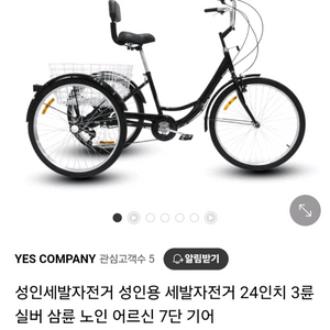 성인용 세발 자전거