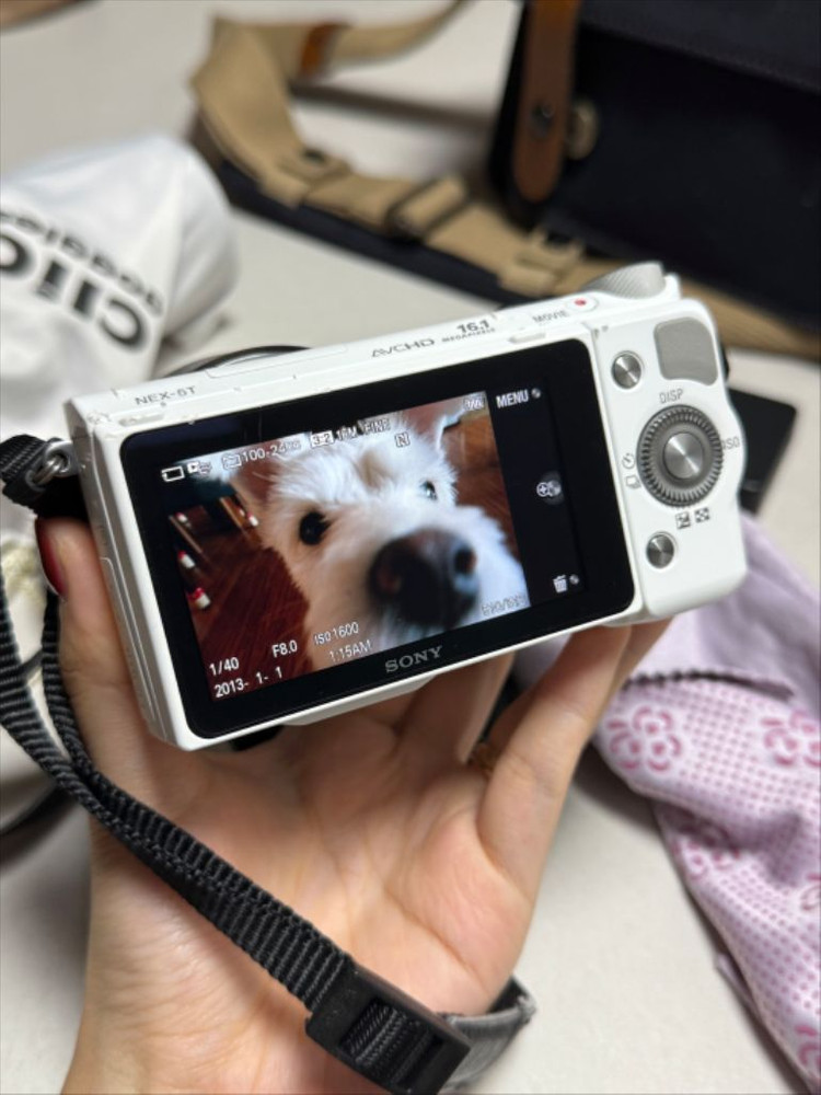 소니 NEX-5T 화이트 미러리스 카메라 이미지