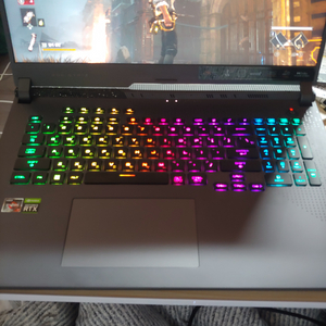 ASUS ROG G17 게이밍노트북 (17.3인치)