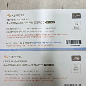 비발디파크 이용권