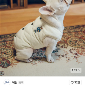 [예일] 강아지옷 XXL