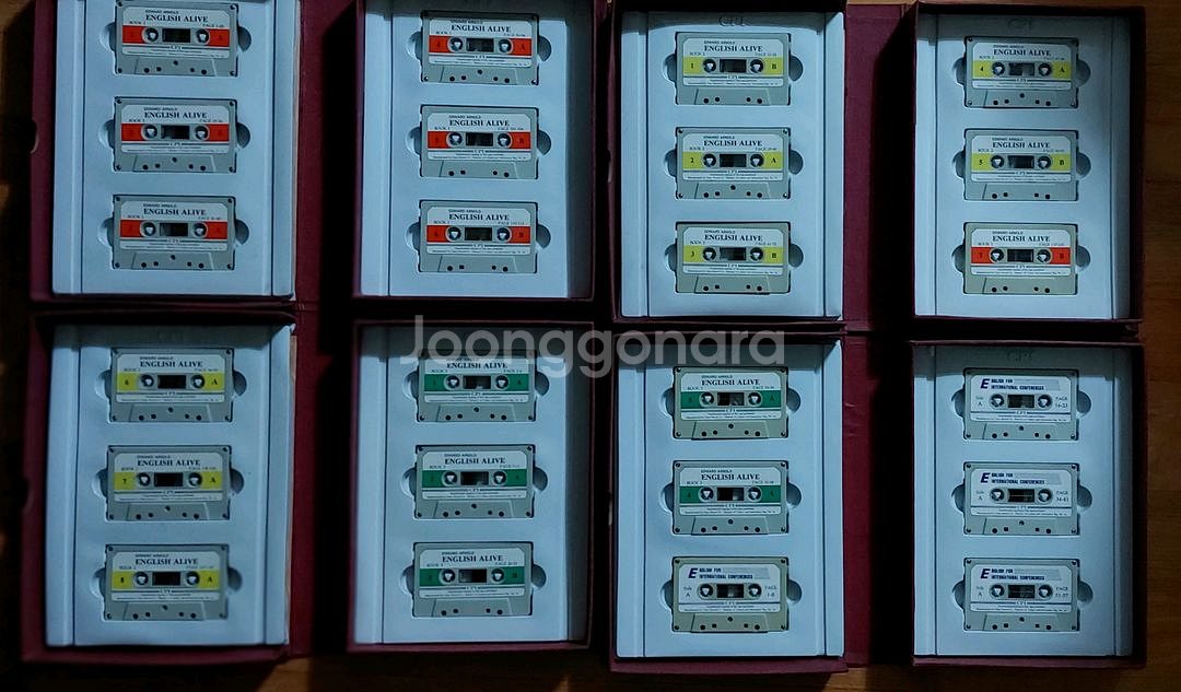 잉글리쉬 어라이브--1